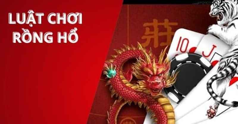 Giới thiệu cho anh em người chơi đôi nét về rồng hổ Bsport